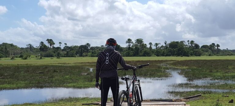 Trilha Amazônia Atlântica: maior percurso sinalizado da América Latina chega à COP30